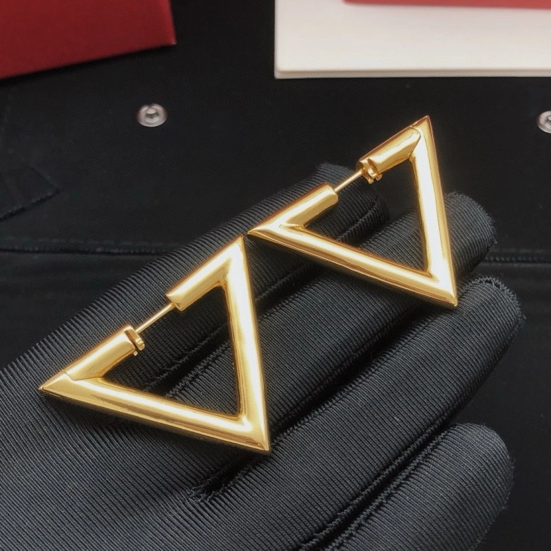 Comfortable Valentino Earrings 207701