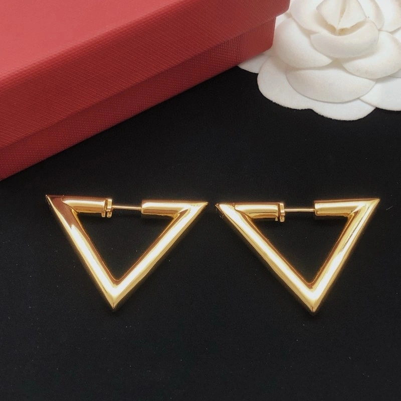 Comfortable Valentino Earrings 207701