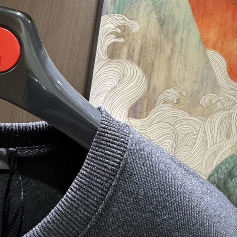Seasonal Valentino Hoodies 174964