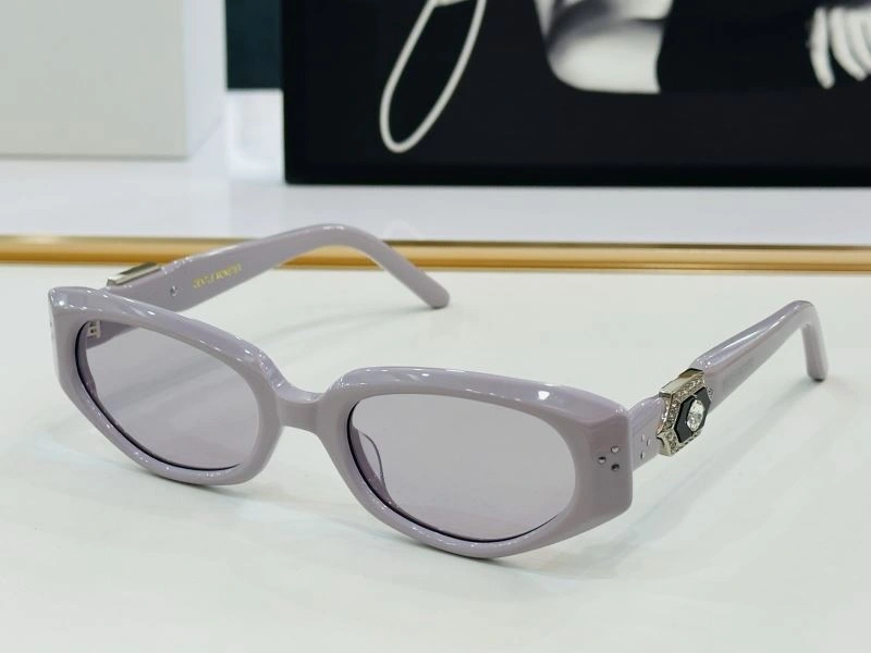 Valentino Sunglasses Sleek 282425