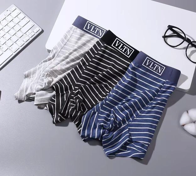 Fashionable Valentino Underwear 276202