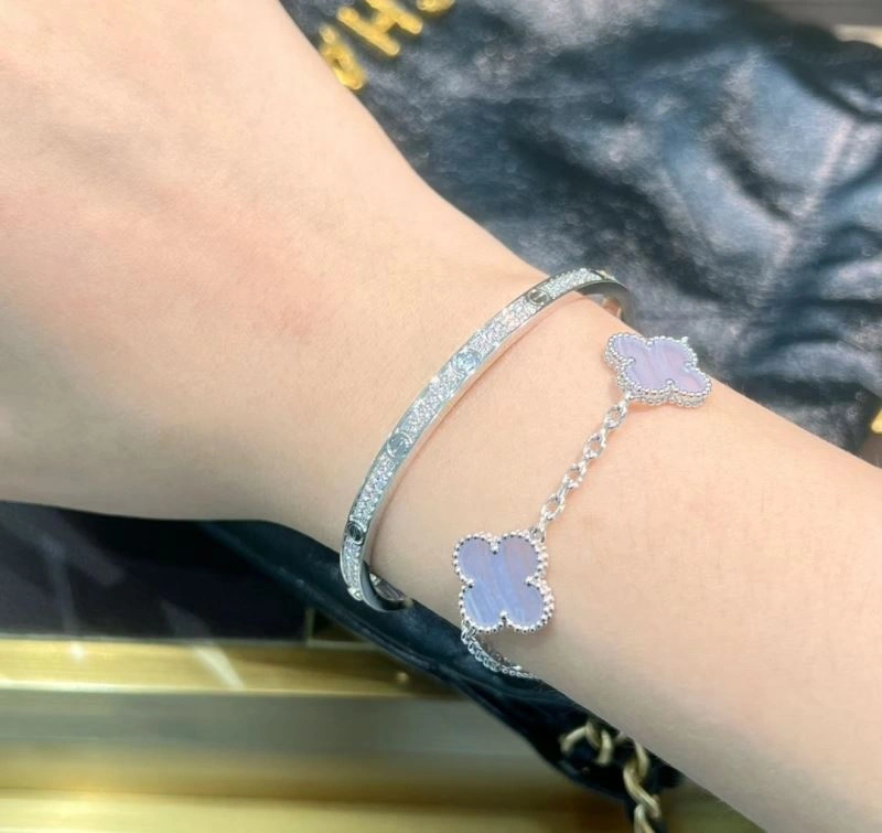 GoAnywhere Vca Bracelets 255501