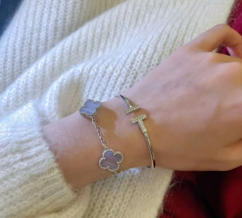 GoAnywhere Vca Bracelets 255501