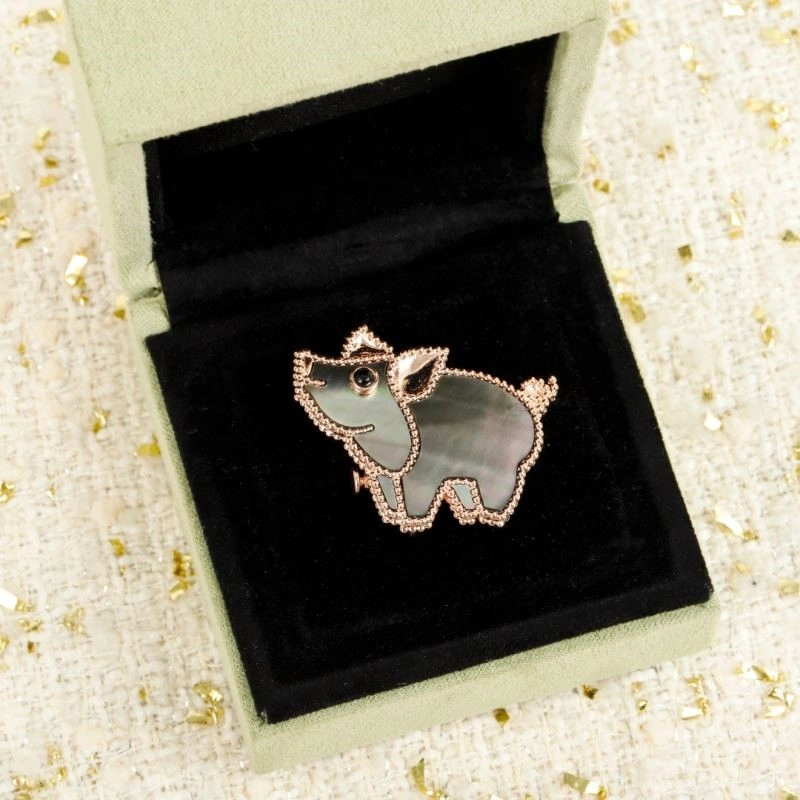 Vca Brooches Fashionable 254368