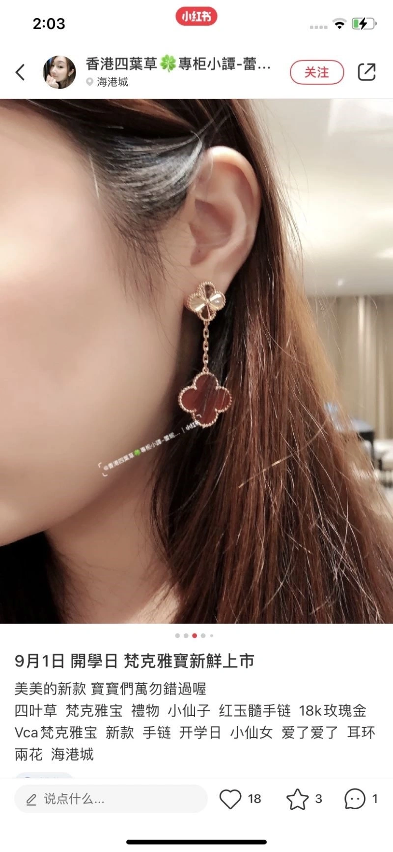 Vca Earrings UrbanStyle 254702