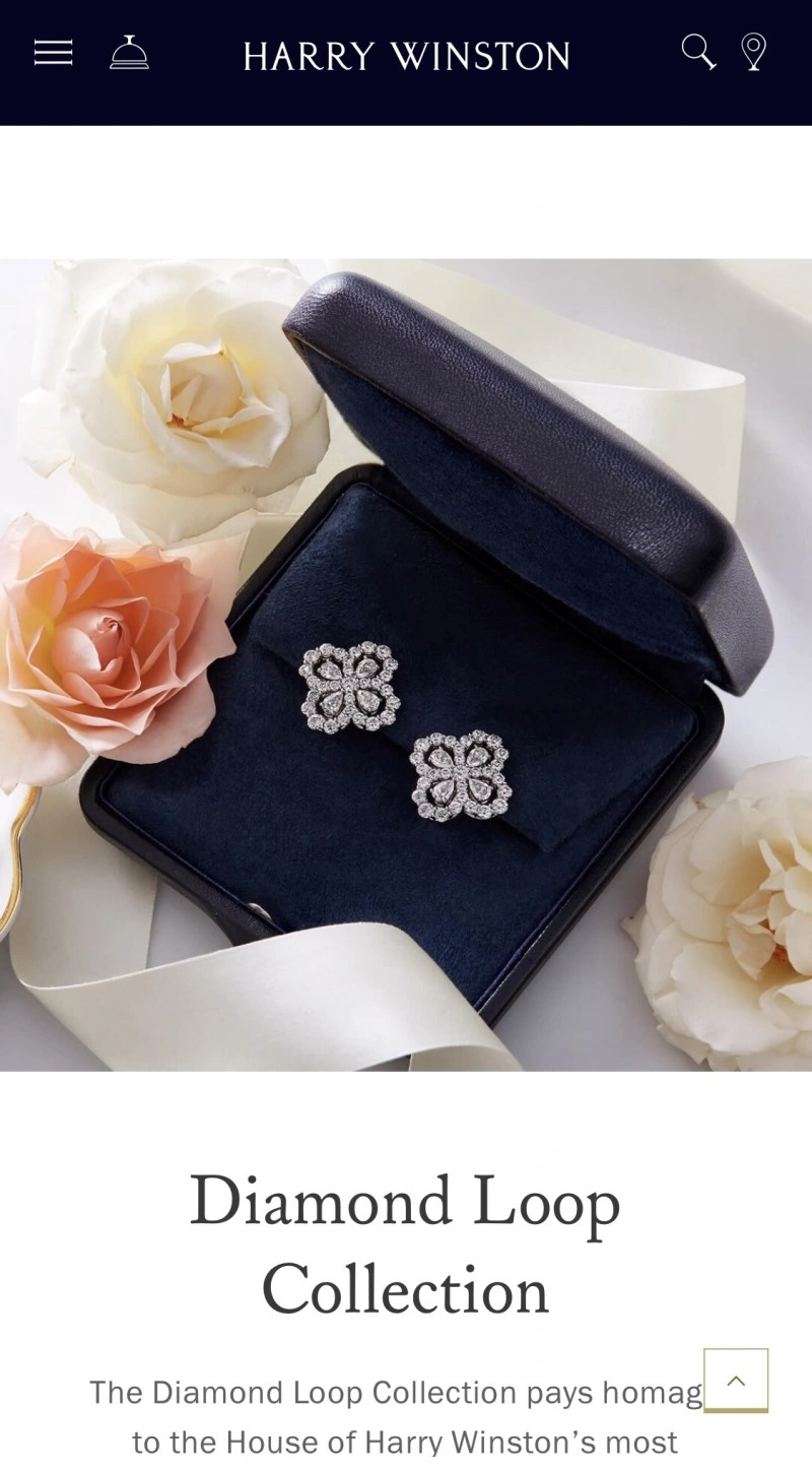 Neat Vca Earrings 254100