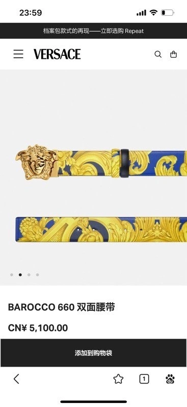 Versace Belts Flexible 305713