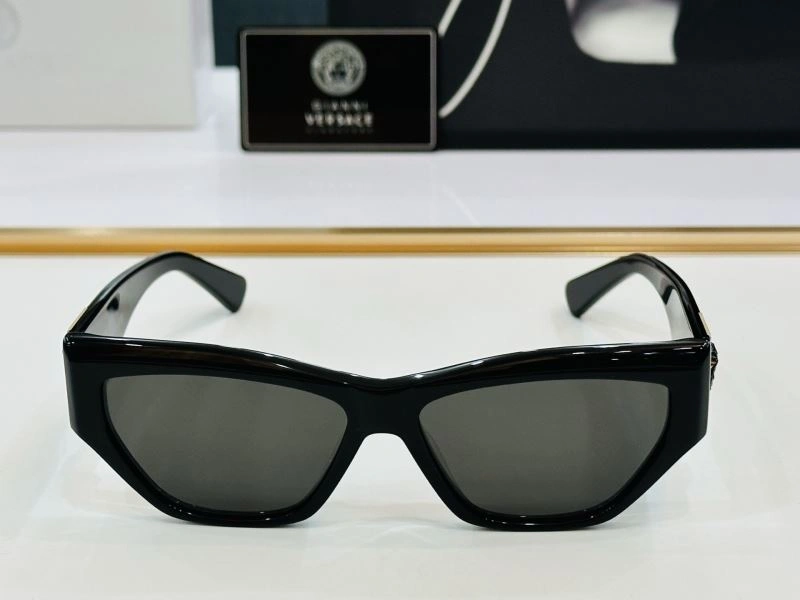 Versace Sunglasses MultiPurpose 282602