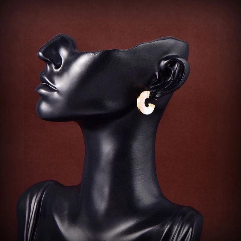 Vivienne Westwood Earrings Stylish 211544