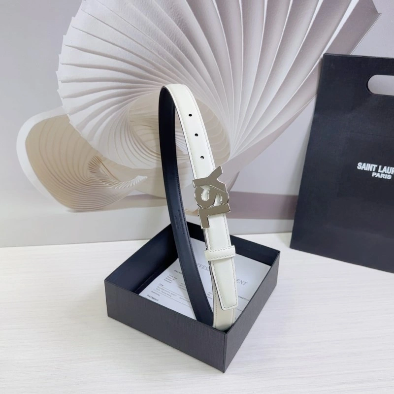 DailyWear YSL Belts 305879