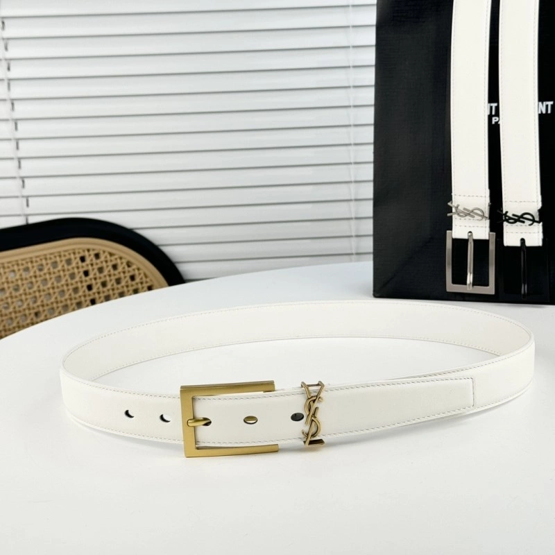 Neat YSL Belts 305859