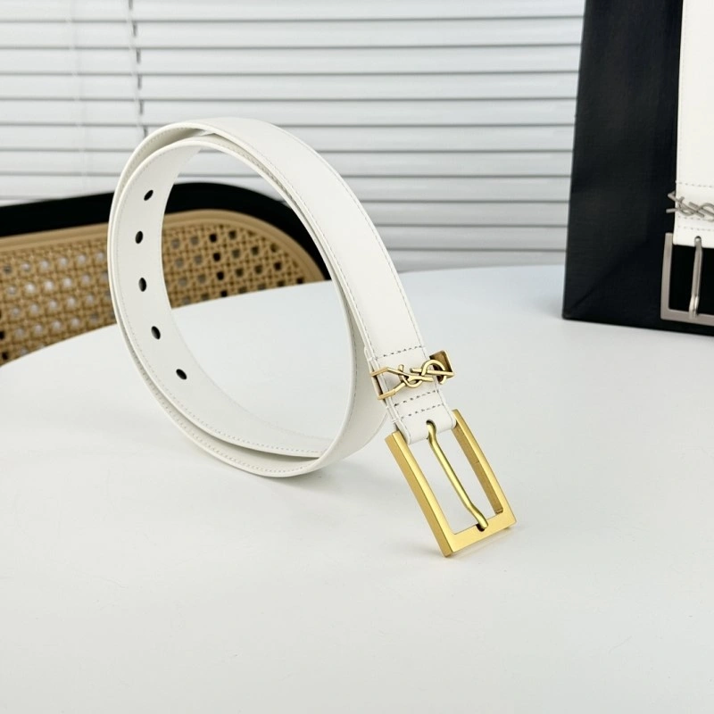 Neat YSL Belts 305859
