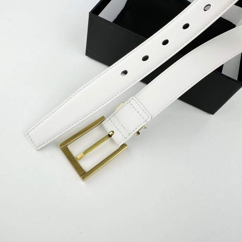Neat YSL Belts 305859