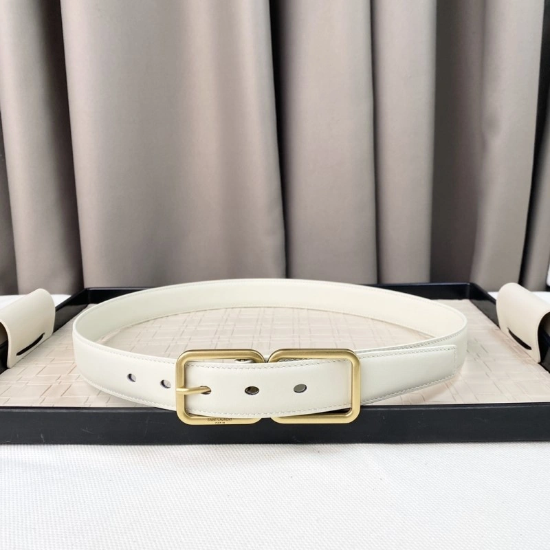 Upgraded YSL Belts 305820