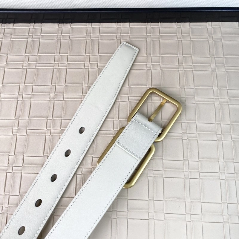 Upgraded YSL Belts 305820