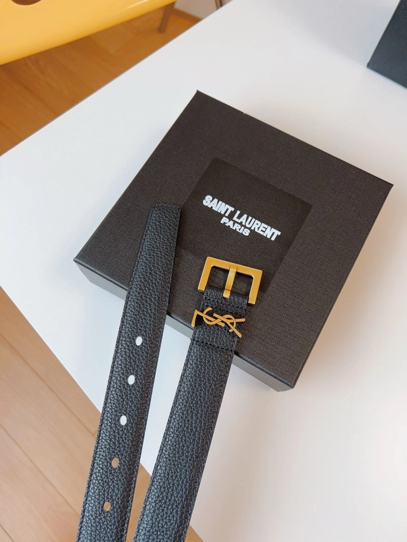 Efficient YSL Belts 305811