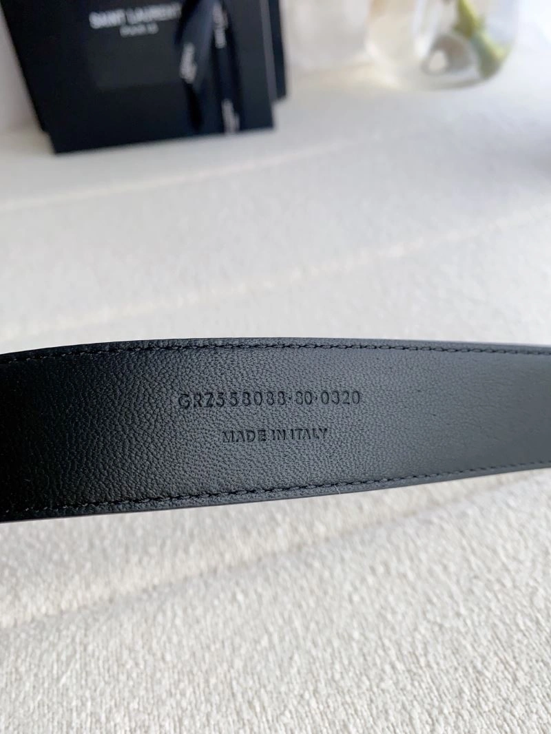 Classic YSL Belts 305941