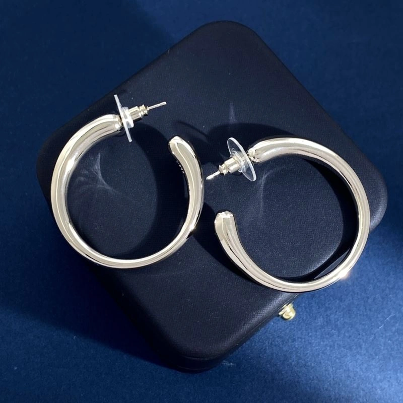 Ysl Earrings Snug 214029