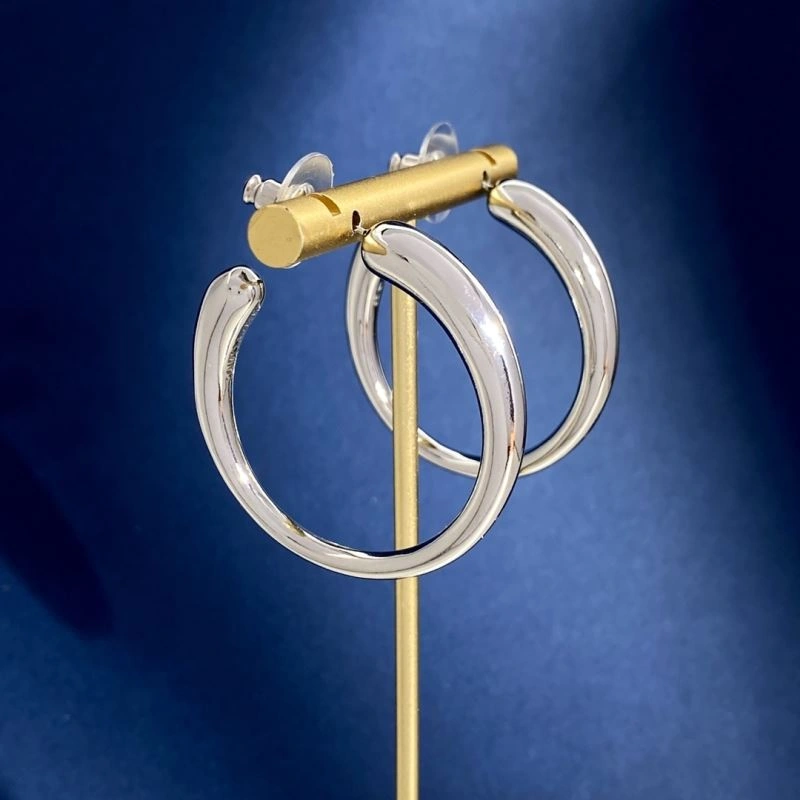 Ysl Earrings Snug 214029