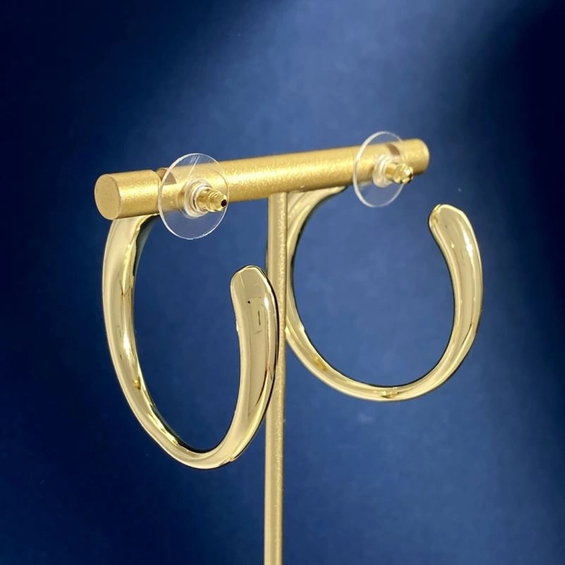 Ysl Earrings Snug 214029