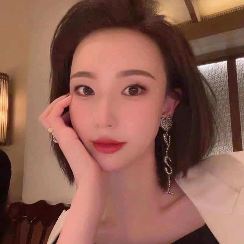 Ysl Earrings DailyWear 212700
