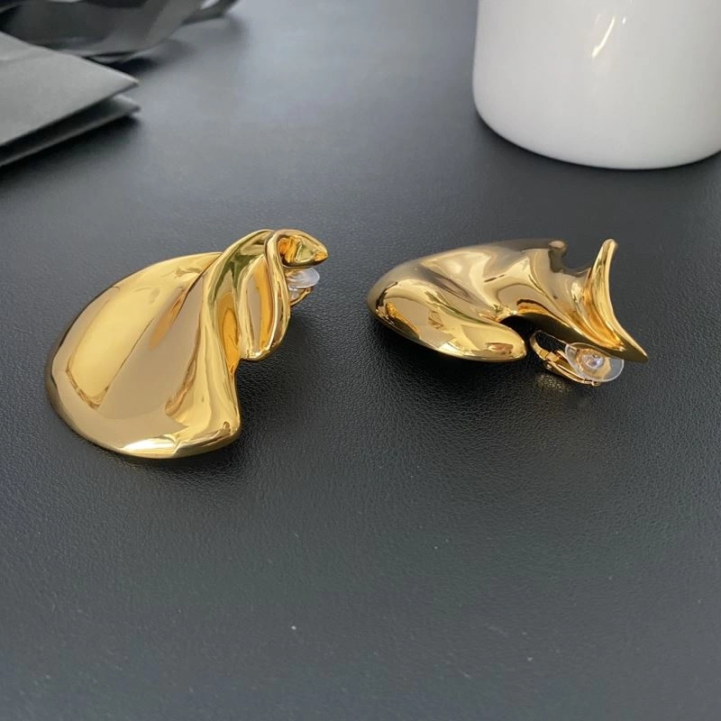 Ysl Earrings Premium 211444