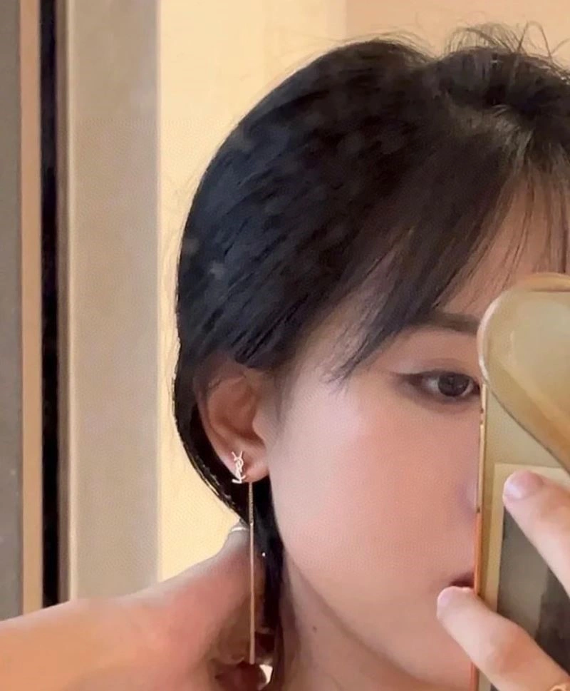 WaterResistant Ysl Earrings 208890