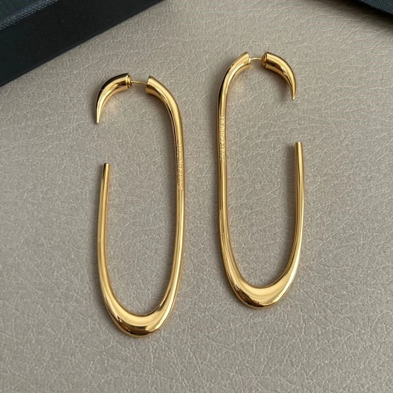 Ysl Earrings Durable 208213