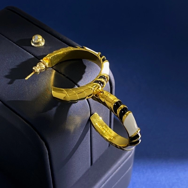 BestValue Ysl Earrings 208206