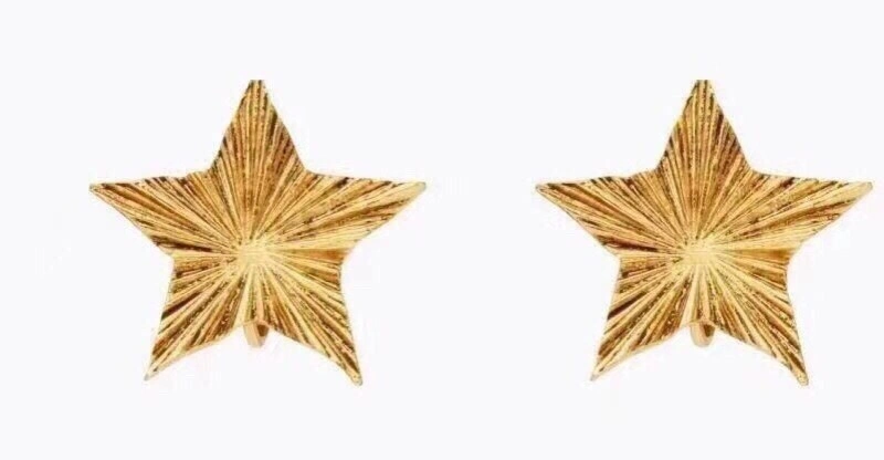 FreshLook Ysl Earrings 207502