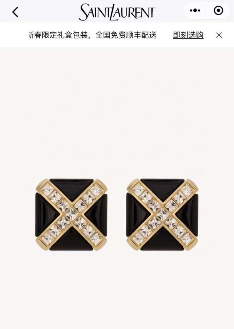 Lightweight Ysl Earrings 207490