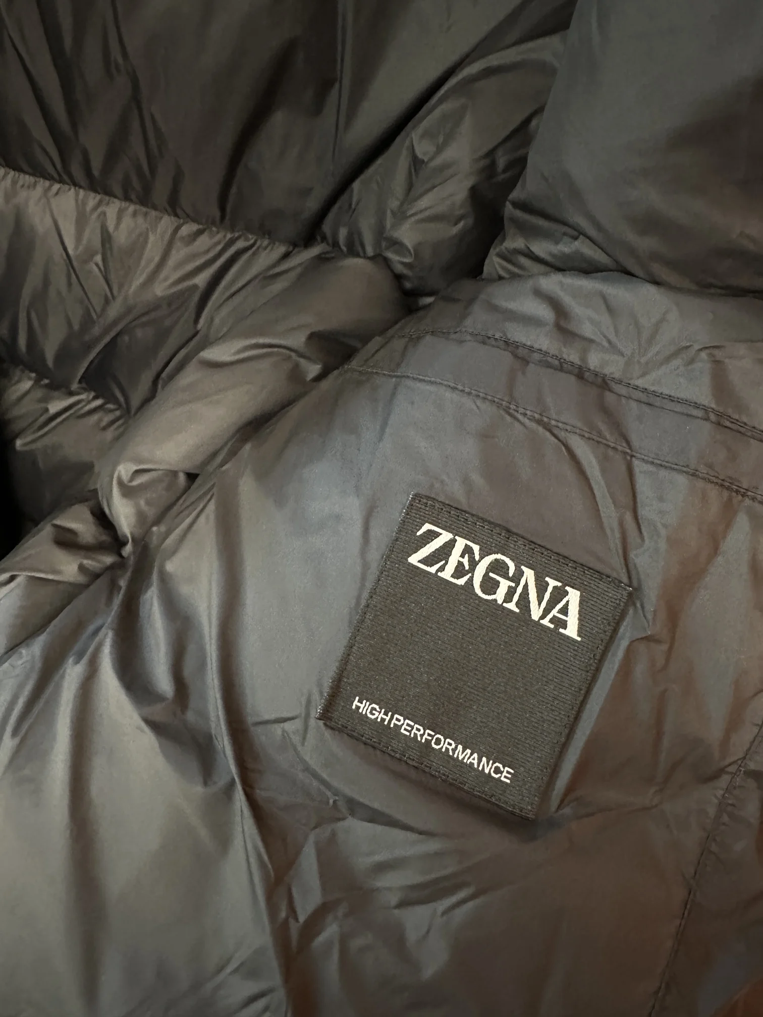 Bold Zegna Down Jackets 165126