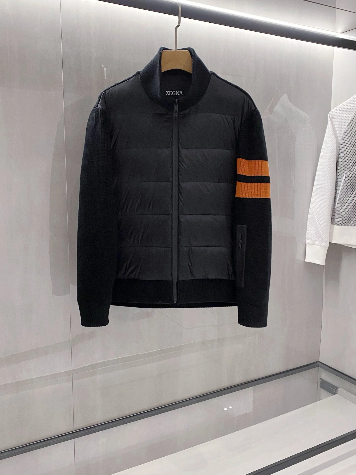 Zegna Down Jackets Vibrant 165104