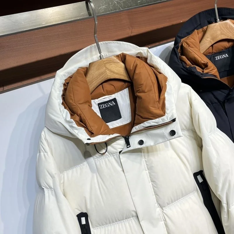 Fashionable Zegna Down Jackets 164896