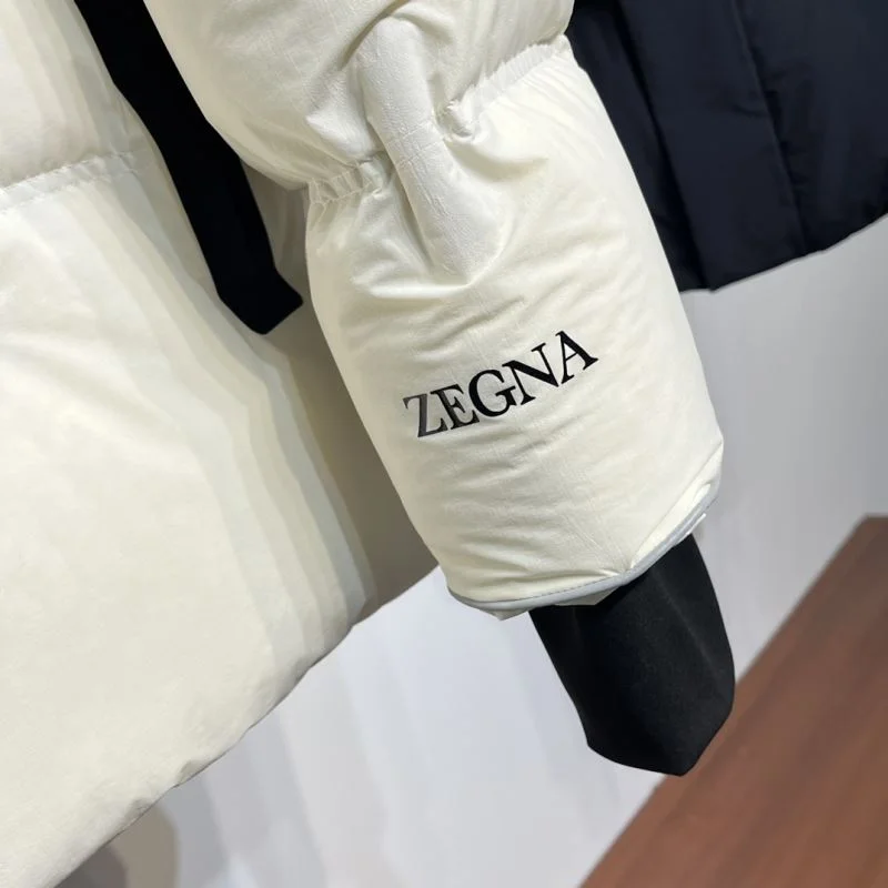 Fashionable Zegna Down Jackets 164896