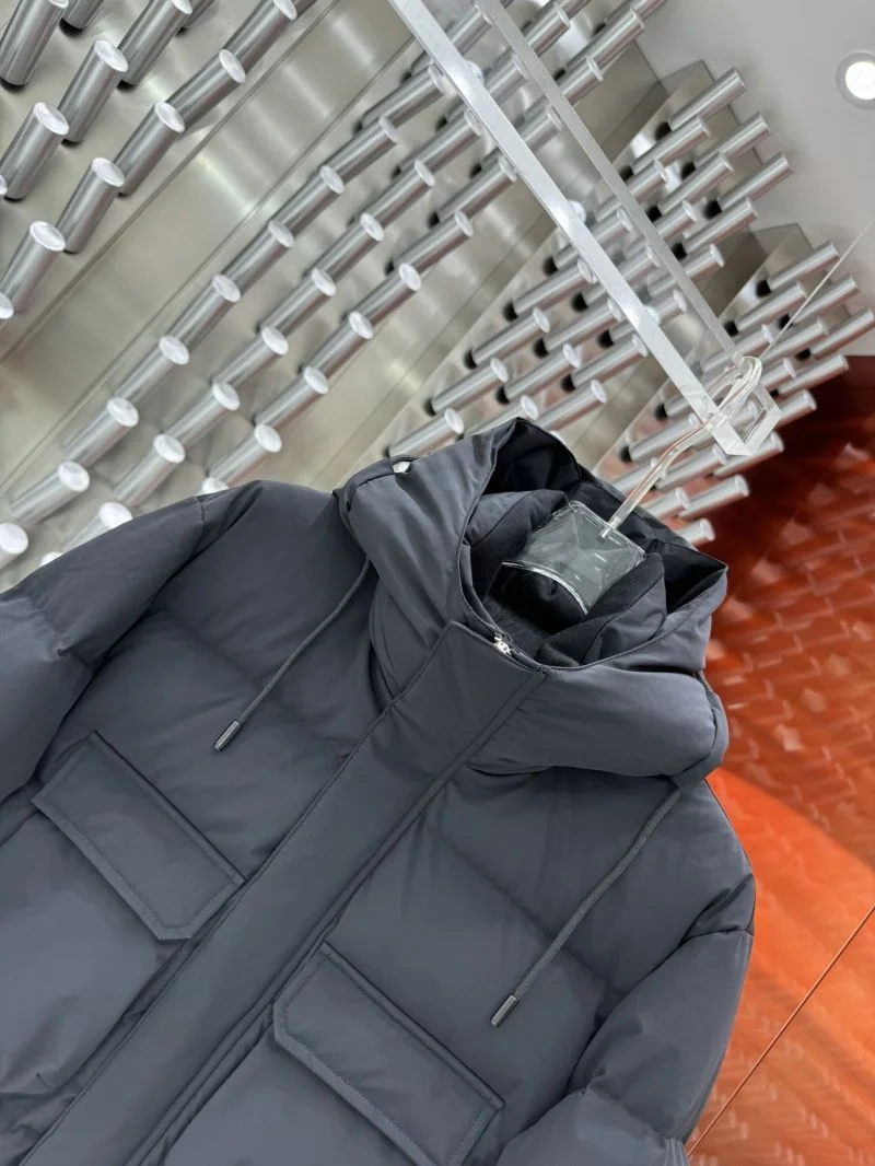 Chic Zegna Down Jackets 164879