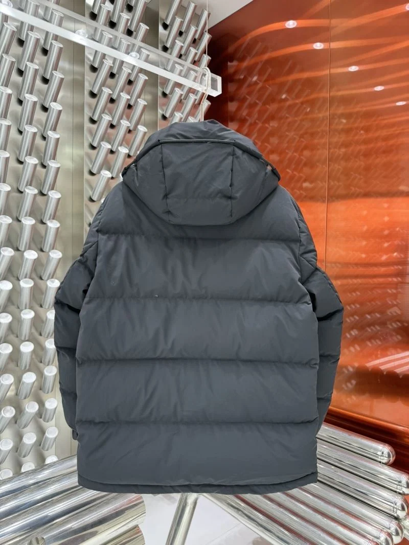 Chic Zegna Down Jackets 164879