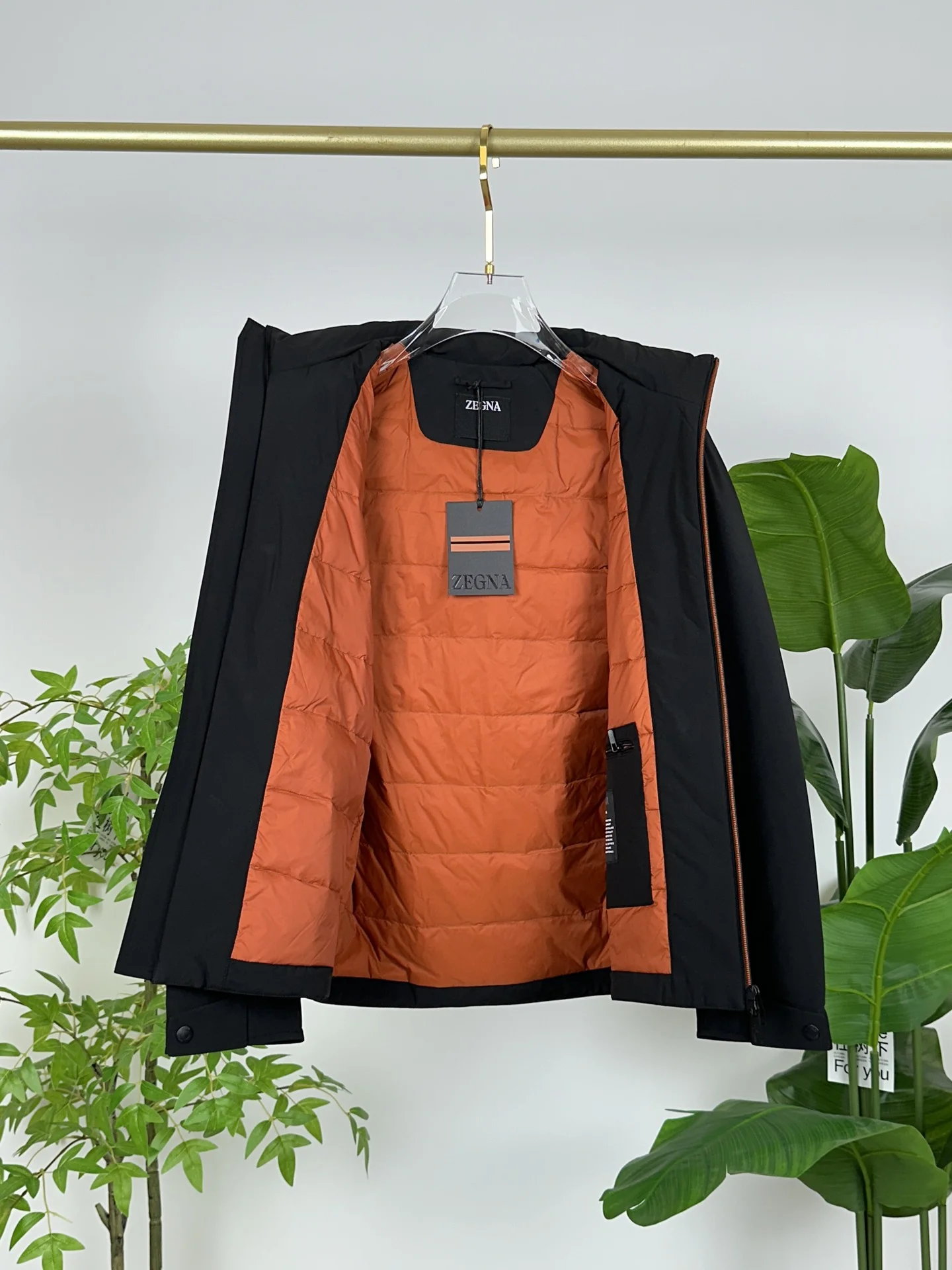 Bright Zegna Down Jackets 165079