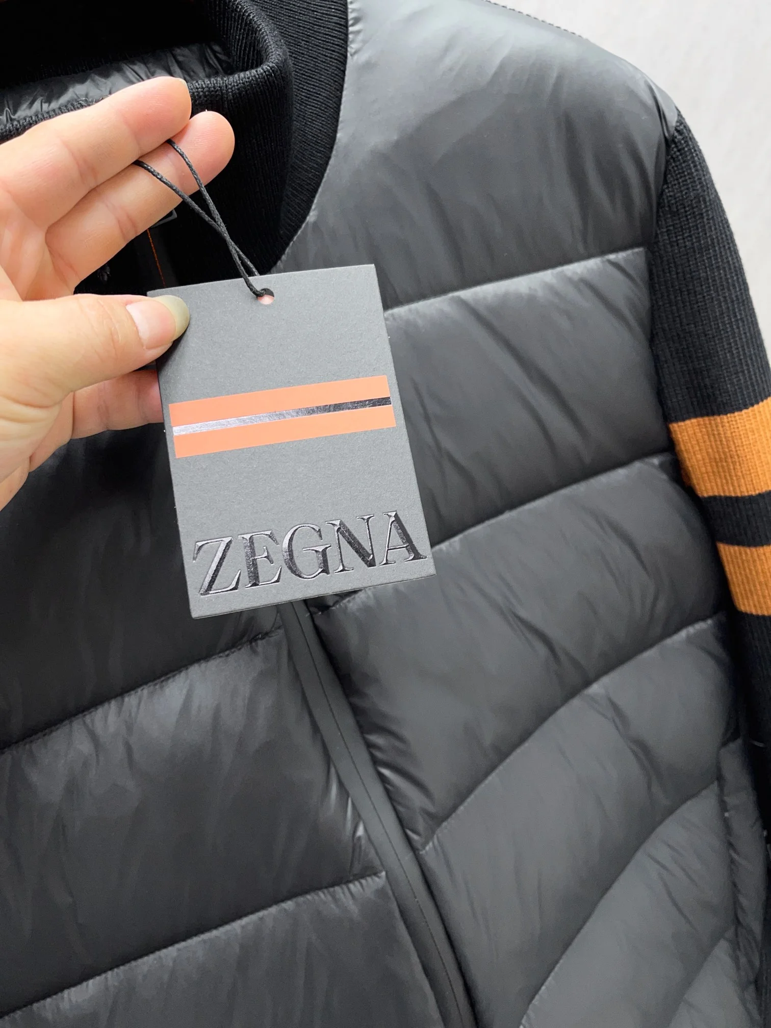 Zegna Down Jackets ComfortFit 165074