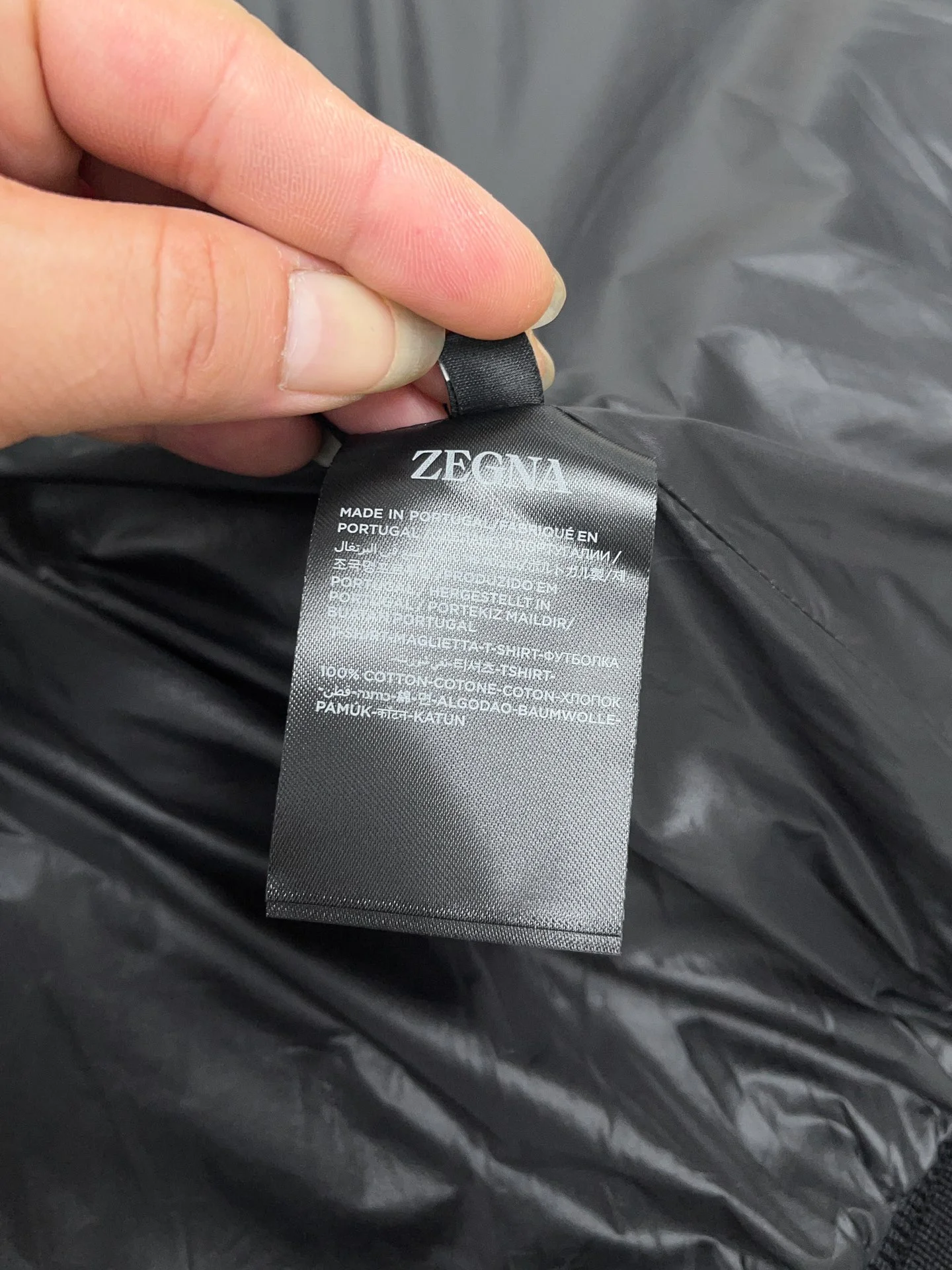Zegna Down Jackets ComfortFit 165074