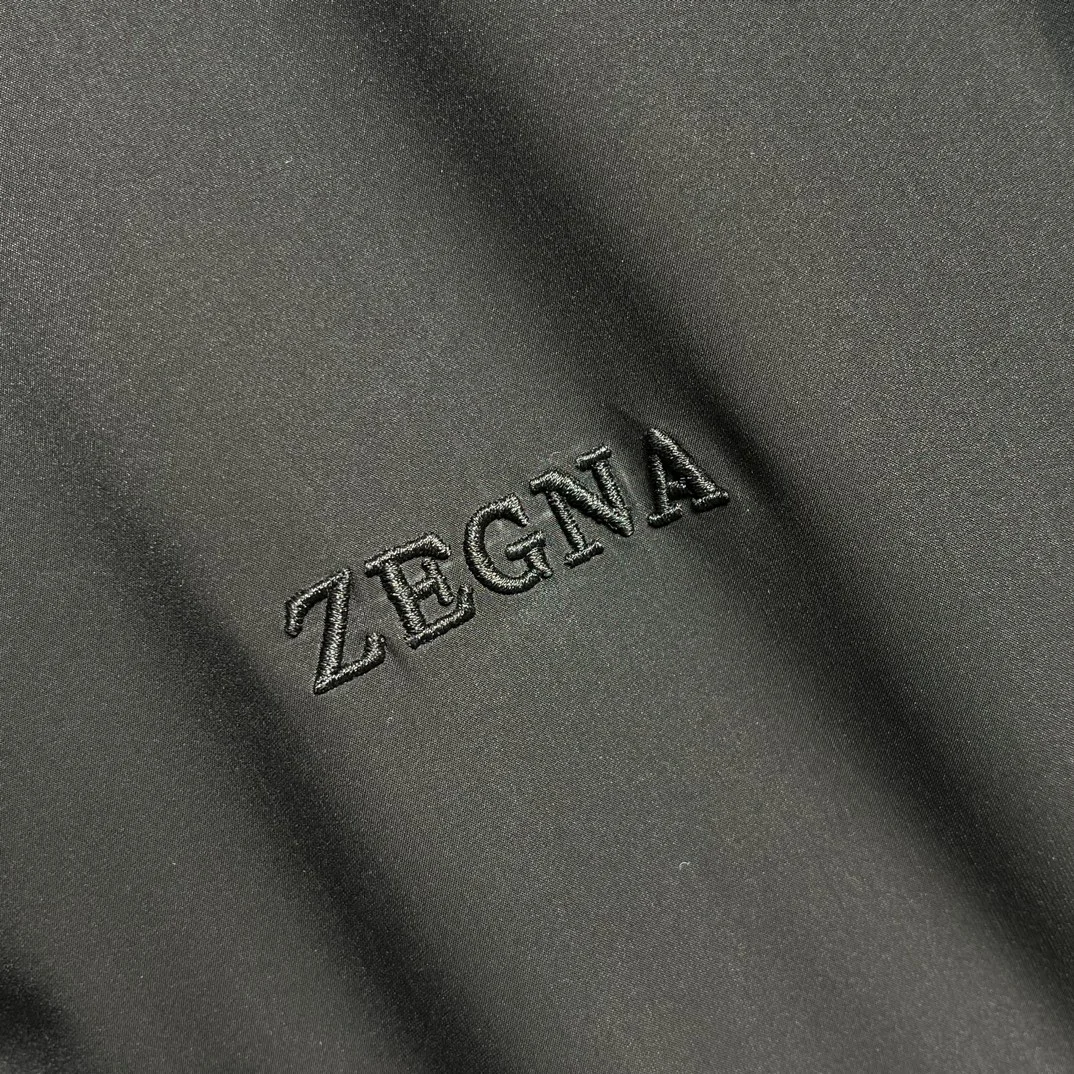 Zegna Down Jackets Cozy 165017
