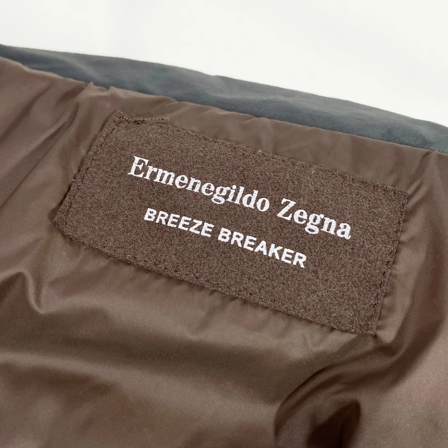 Zegna Down Jackets Youthful 165007