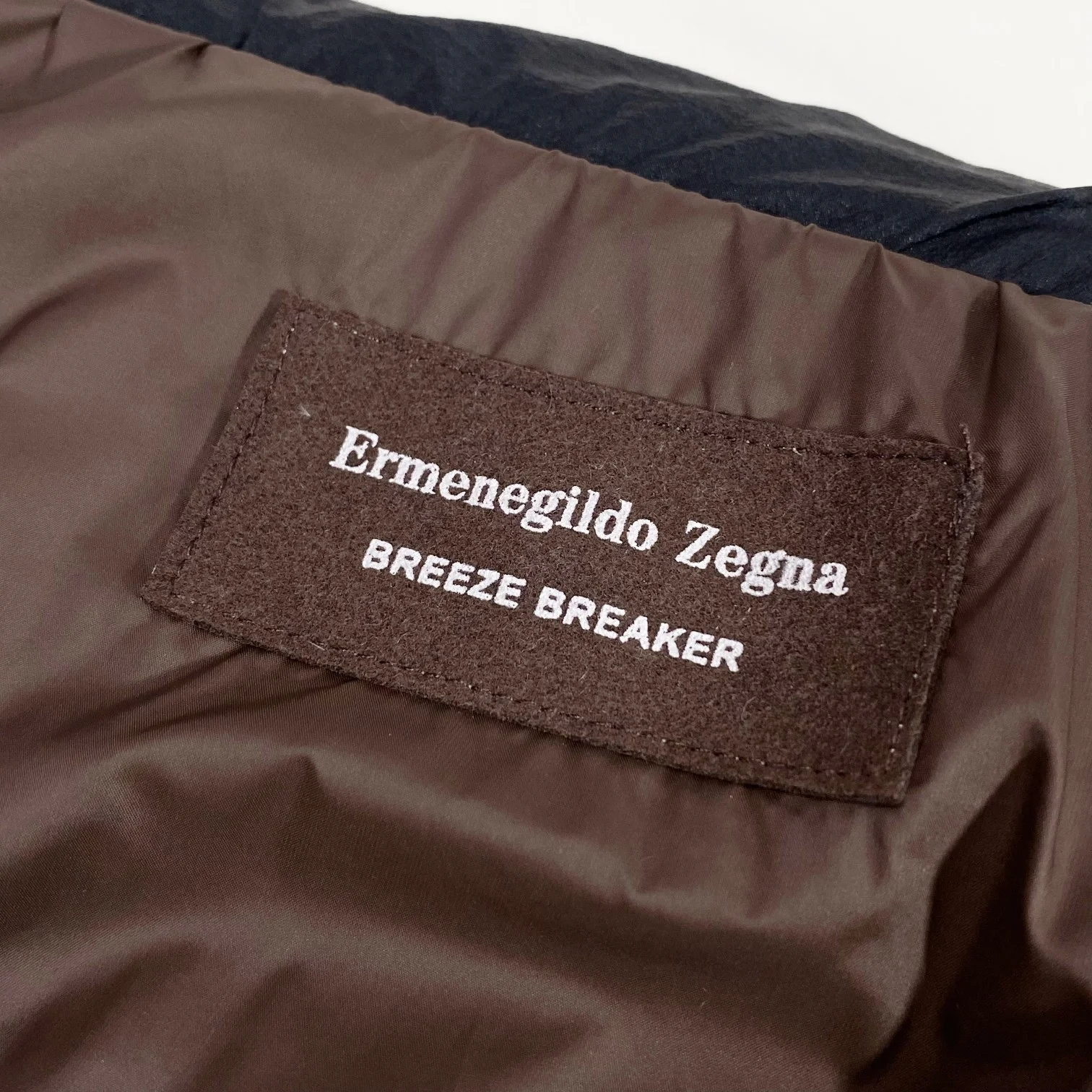 Trendy Zegna Down Jackets 165006