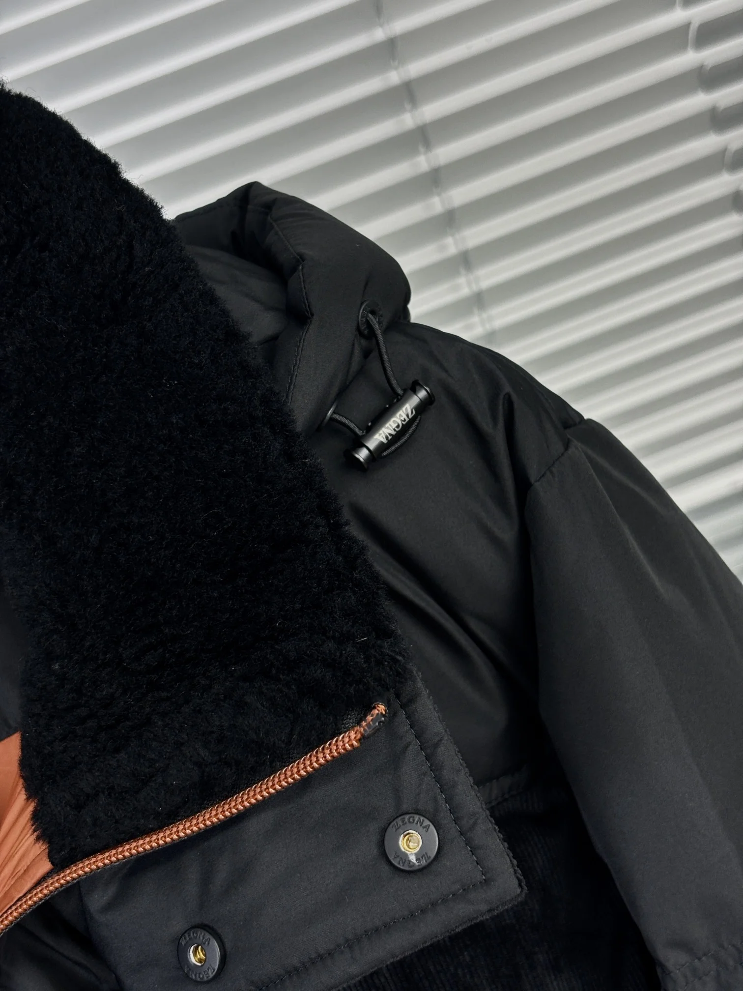 Zegna Down Jackets Affordable 165004