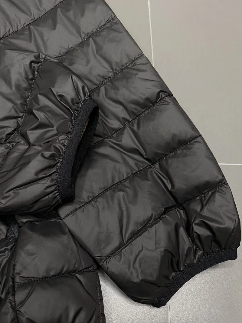 TechFriendly Zegna Down Jackets 164730