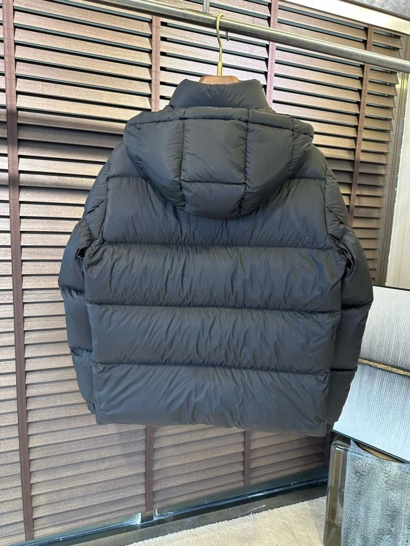 Functional Zegna Down Jackets 164725