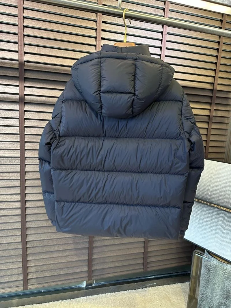 Sophisticated Zegna Down Jackets 164760