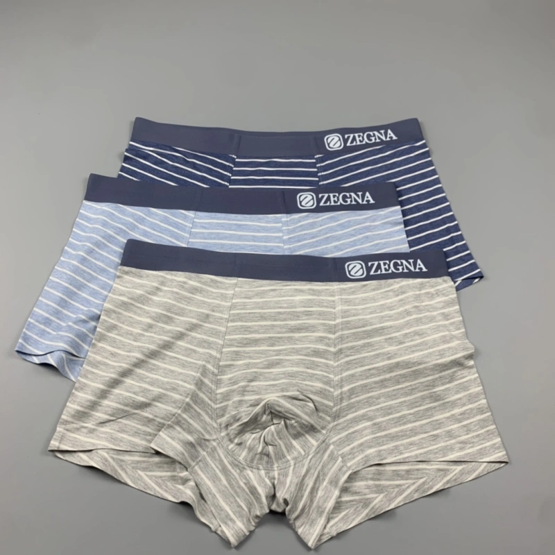Thermal Zegna Underwear 276579