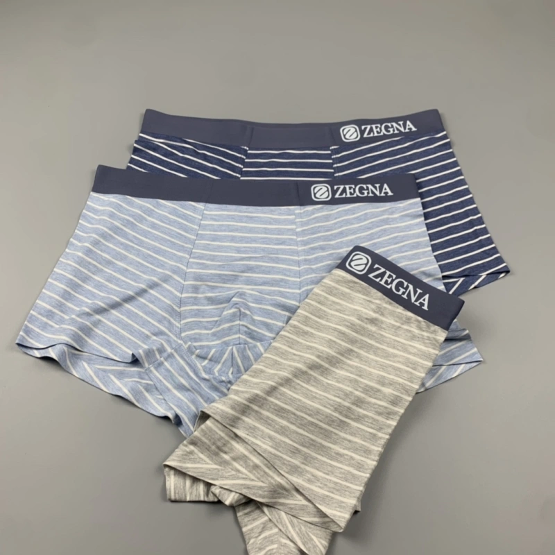 Thermal Zegna Underwear 276579