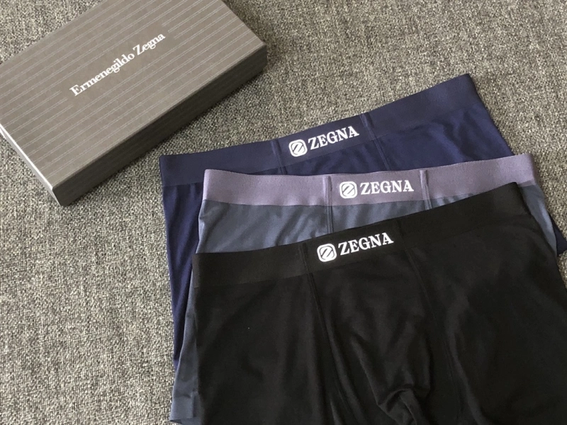 Comfortable Zegna Underwear 276179